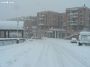 neve (51)